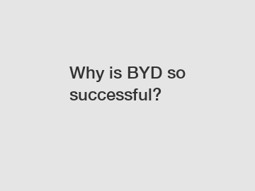 Why is BYD so successful?