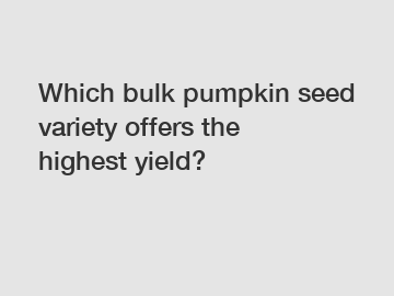 Which bulk pumpkin seed variety offers the highest yield?