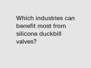 Which industries can benefit most from silicone duckbill valves?