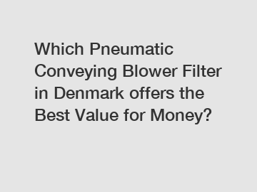 Which Pneumatic Conveying Blower Filter in Denmark offers the Best Value for Money?