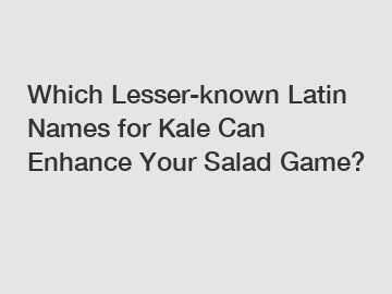 Which Lesser-known Latin Names for Kale Can Enhance Your Salad Game?
