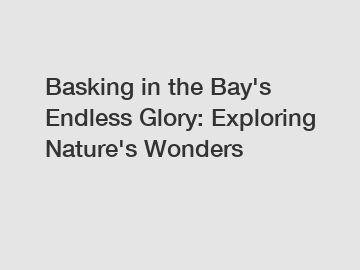Basking in the Bay's Endless Glory: Exploring Nature's Wonders