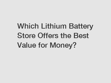 Which Lithium Battery Store Offers the Best Value for Money?