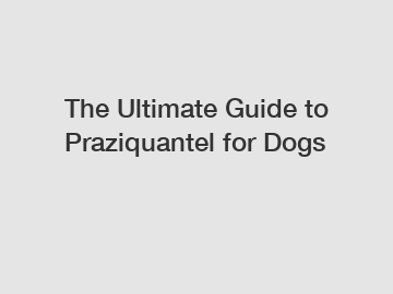 The Ultimate Guide to Praziquantel for Dogs