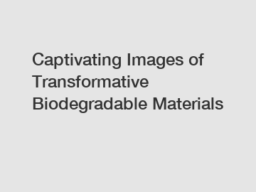 Captivating Images of Transformative Biodegradable Materials