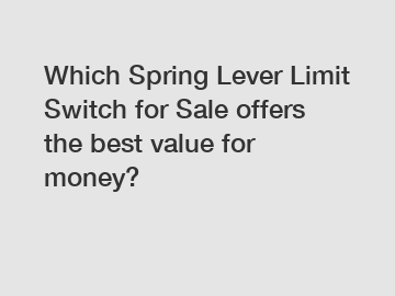 Which Spring Lever Limit Switch for Sale offers the best value for money?