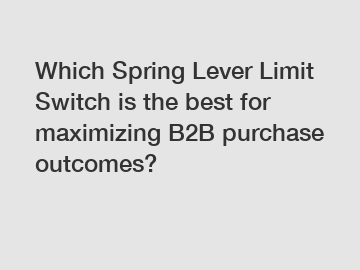 Which Spring Lever Limit Switch is the best for maximizing B2B purchase outcomes?