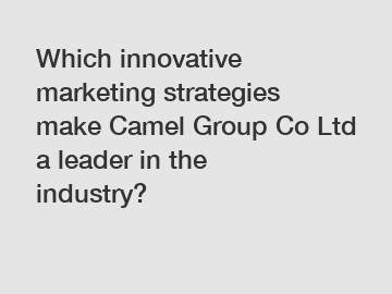 Which innovative marketing strategies make Camel Group Co Ltd a leader in the industry?