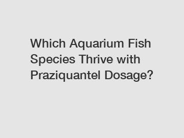 Which Aquarium Fish Species Thrive with Praziquantel Dosage?