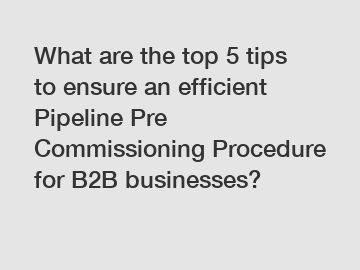 What are the top 5 tips to ensure an efficient Pipeline Pre Commissioning Procedure for B2B businesses?