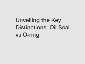 Unveiling the Key Distinctions: Oil Seal vs O-ring