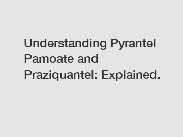 Understanding Pyrantel Pamoate and Praziquantel: Explained.