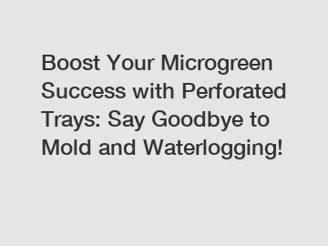 Boost Your Microgreen Success with Perforated Trays: Say Goodbye to Mold and Waterlogging!