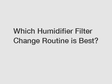 Which Humidifier Filter Change Routine is Best?