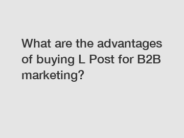 What are the advantages of buying L Post for B2B marketing?