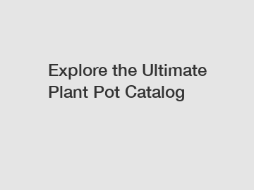 Explore the Ultimate Plant Pot Catalog