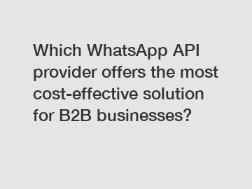 Which WhatsApp API provider offers the most cost-effective solution for B2B businesses?