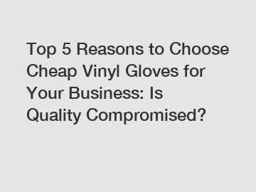 Top 5 Reasons to Choose Cheap Vinyl Gloves for Your Business: Is Quality Compromised?