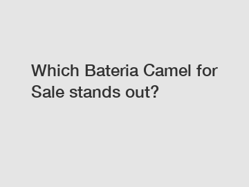 Which Bateria Camel for Sale stands out?