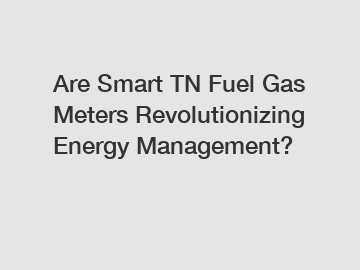 Are Smart TN Fuel Gas Meters Revolutionizing Energy Management?