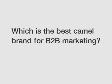 Which is the best camel brand for B2B marketing?