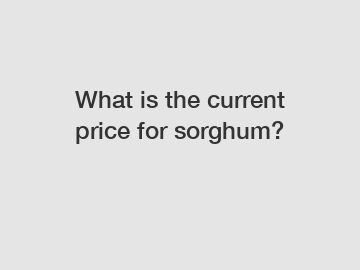 What is the current price for sorghum?