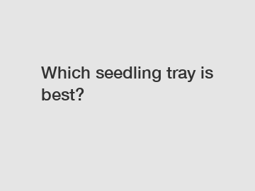 Which seedling tray is best?