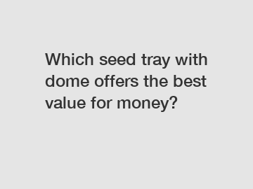 Which seed tray with dome offers the best value for money?
